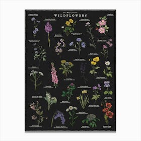 Wildflowers Noir Illustrated Botanical Art Print Canvas Print