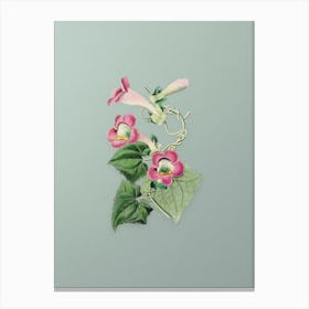 Vintage Blushing Lophospermum Flower Botanical Art on Mint Green n.0687 Canvas Print