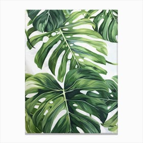 Monstera Leaves 8 Canvas Print