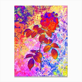 Seven Sisters Roses Botanical in Acid Neon Pink Green and Blue n.0051 Canvas Print