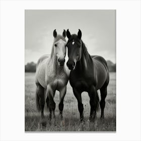 Leonardo Lightning Xl A Beautiful Blackandwhite Drawing Of Two 1 Canvas Print