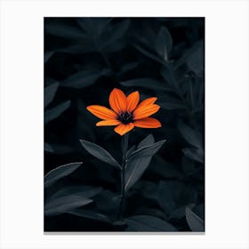 Orange Flower 3 Canvas Print