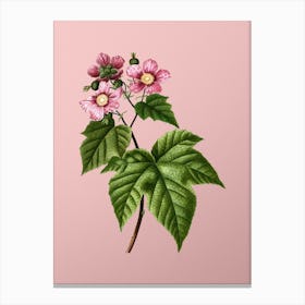 Vintage Purple Flowered Raspberry Botanical on Soft Pink n.0316 Canvas Print