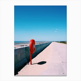 Run Along The Beach Canvas Print