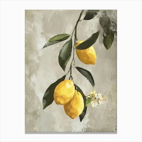 Lemons On A Branch 7 Canvas Print
