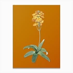 Vintage Sun Star Botanical on Sunset Orange n.0757 Canvas Print