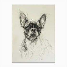 Boston Terrier Dog Charcoal Line 2 Canvas Print