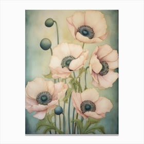 Poppies 40 Canvas Print