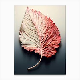 Leaf On A Black Surface Canvas Print