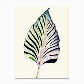 Hosta Leaf Abstract 5 Canvas Print