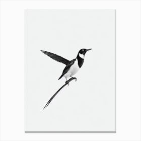 Magpie B&W Pencil Drawing 2 Bird Canvas Print