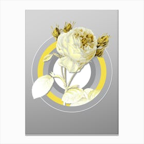 Botanical Centifolia Roses in Yellow and Gray Gradient n.298 Canvas Print