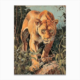African Lion Relief Illustration Lionesss 3 Canvas Print