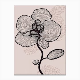 Line Art Orchids Flowers Illustration Neutral 15 Canvas Print