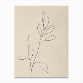 Leaf Drawing 2 Canvas Print