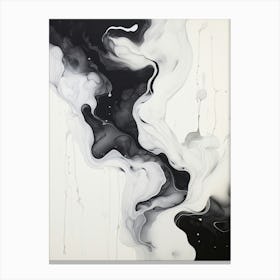 Black And White Flow Asbtract Painting 6 Canvas Print