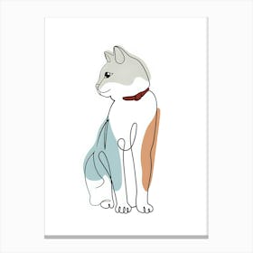 Cat With Collar Canvas Print