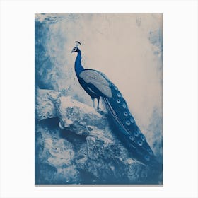 Navy Blue Peacock Portrait Cyanotype Inspired 2 Canvas Print