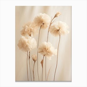 Boho Dried Flowers Carnation 8 Canvas Print