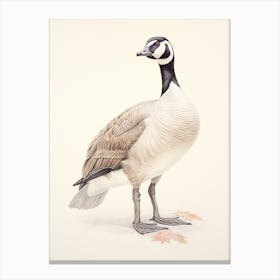 Vintage Bird Drawing Canada Goose 2 Canvas Print