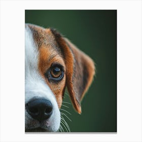 Beagles Face In Close Up Generated with AI Canvas Print