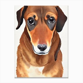Dachshund 3 Watercolour dog Canvas Print