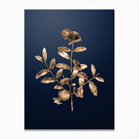 Gold Botanical Pomegranate Branch on Midnight Navy n.4096 Canvas Print
