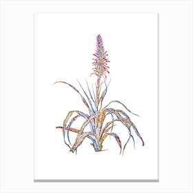 Stained Glass Pina Cortadora Mosaic Botanical Illustration on White Canvas Print