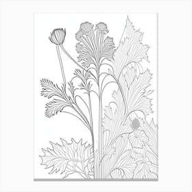 Angelica Herb William Morris Inspired Line Drawing 1 Canvas Print