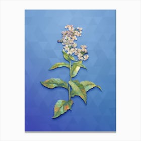 Vintage White Gillyflower Bloom Botanical Art on Blue Perennial n.0126 Canvas Print