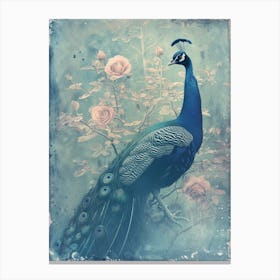 Turquoise Peacock With Roses Cyanotype Inspired  1 Canvas Print