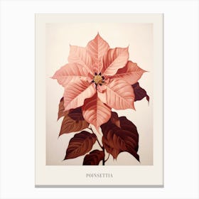 Floral Illustration Poinsettia 3 Poster Canvas Print