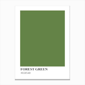 Forest Green Canvas Print