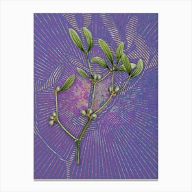 Vintage Viscum Album Branch Botanical Illustration on Veri Peri n.0922 Canvas Print
