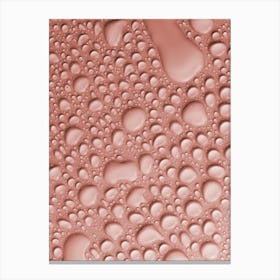 Pantone Color Of The Year 2024 USA Peach Fuzz Canvas Print