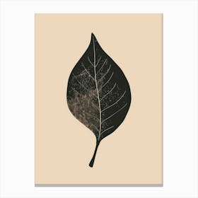 Black leaf on paper 62 Canvas Print