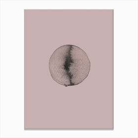 Pink Moon I Canvas Print