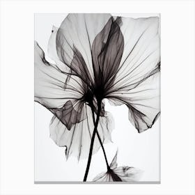 Black And White Flower Silhouette Canvas Print