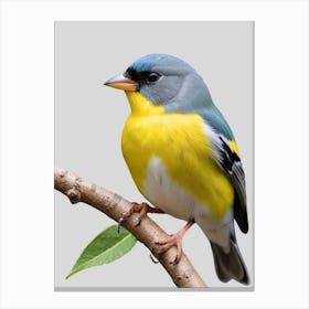 Bird On A Branch 4 Canvas Print