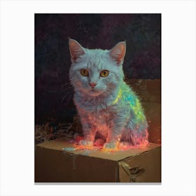 Cat In A Box 11 Canvas Print