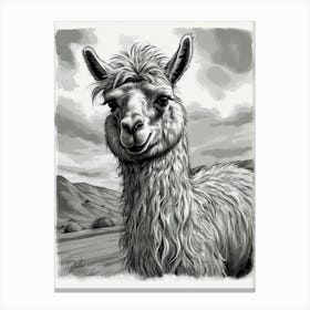 Llama Canvas Print