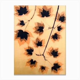 Sycamore leaves Canvas Print