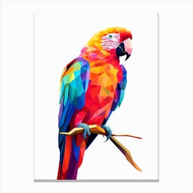 Colourful Geometric Bird Parrot 3 Canvas Print