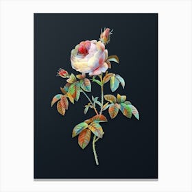 Vintage Provence Rose Bloom Botanical Watercolor Illustration on Dark Teal Blue n.0365 Canvas Print