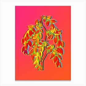 Neon Jujube Botanical in Hot Pink and Electric Blue n.0383 Canvas Print