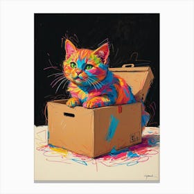 Cat In A Box 2 Canvas Print