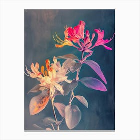 Iridescent Flower Honeysuckle 3 Canvas Print
