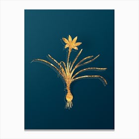 Vintage Rain Lily Botanical in Gold on Teal Blue n.0009 Canvas Print