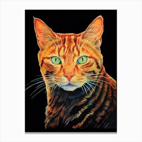 Orange Tabby Cat 7 Canvas Print