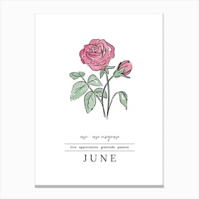 June Rose Birth Flower 2 Canvas Print